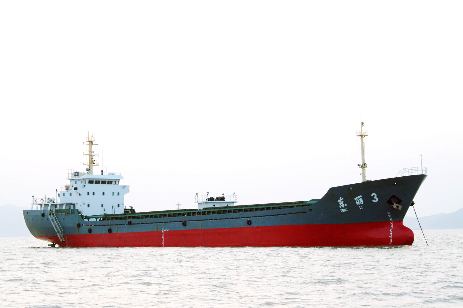 东丽3/散货船