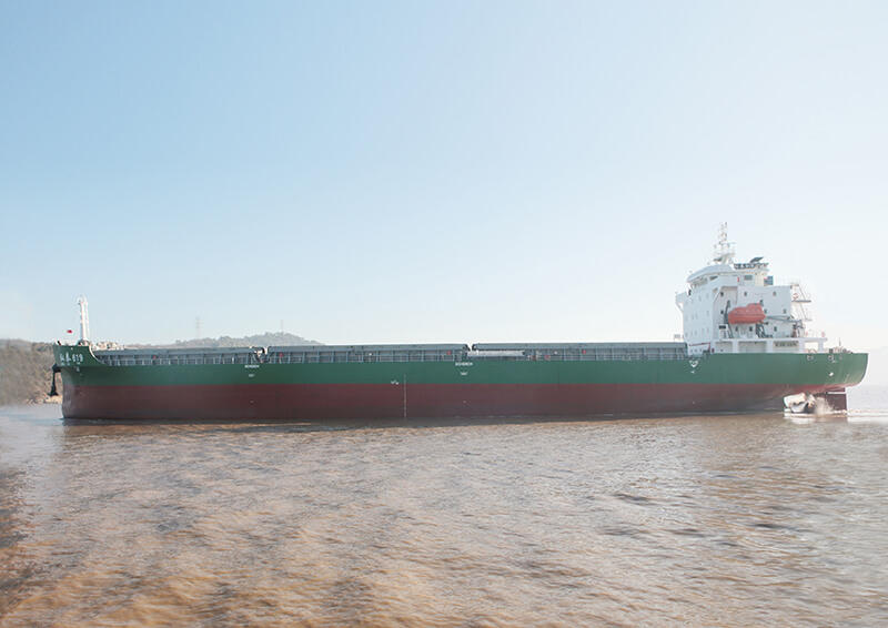 弘泰619/散货船