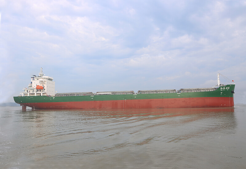 弘泰819/双壳散货船