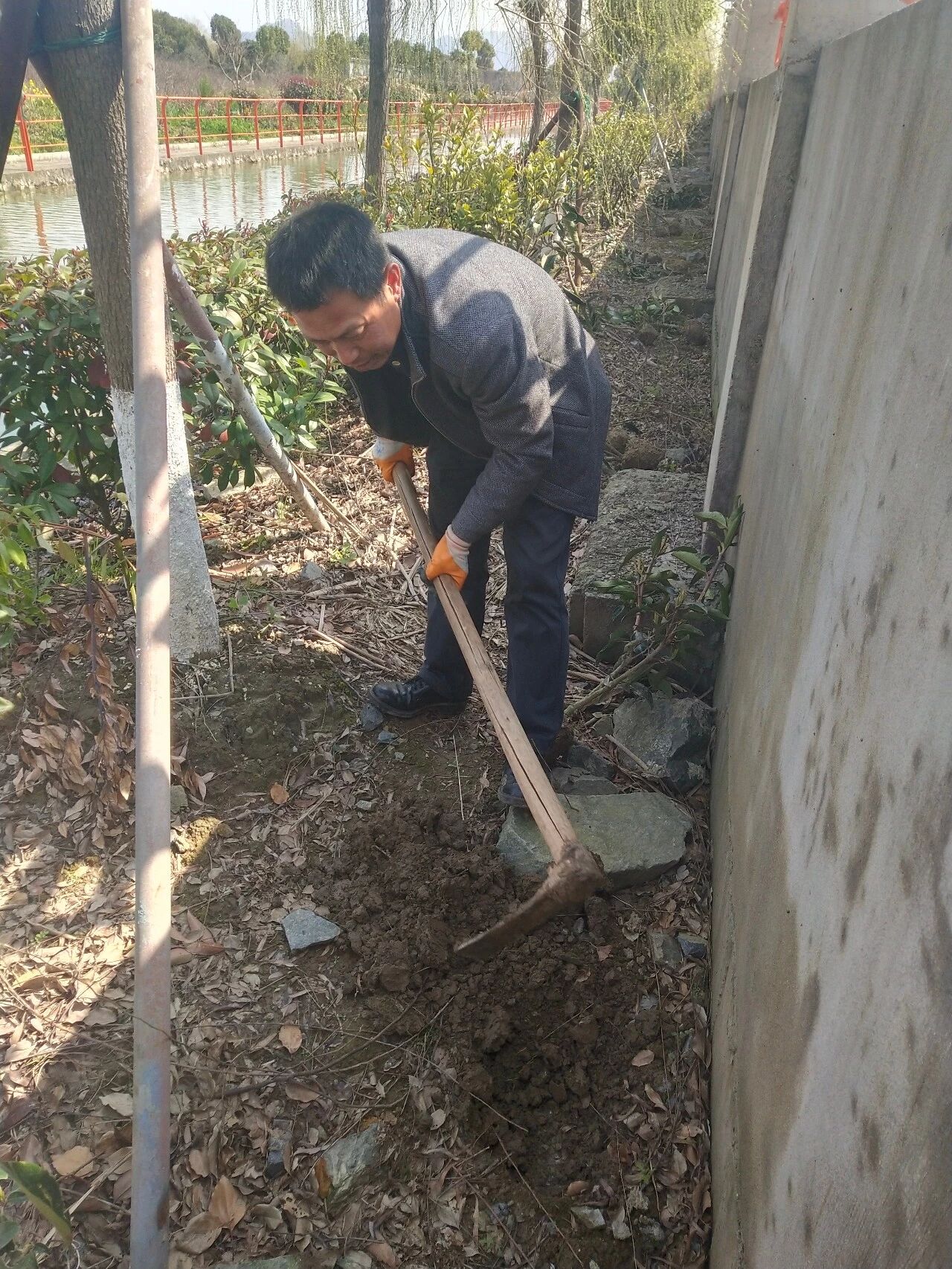 【植树节】绿色是不变的话题，和谐是永恒的追求